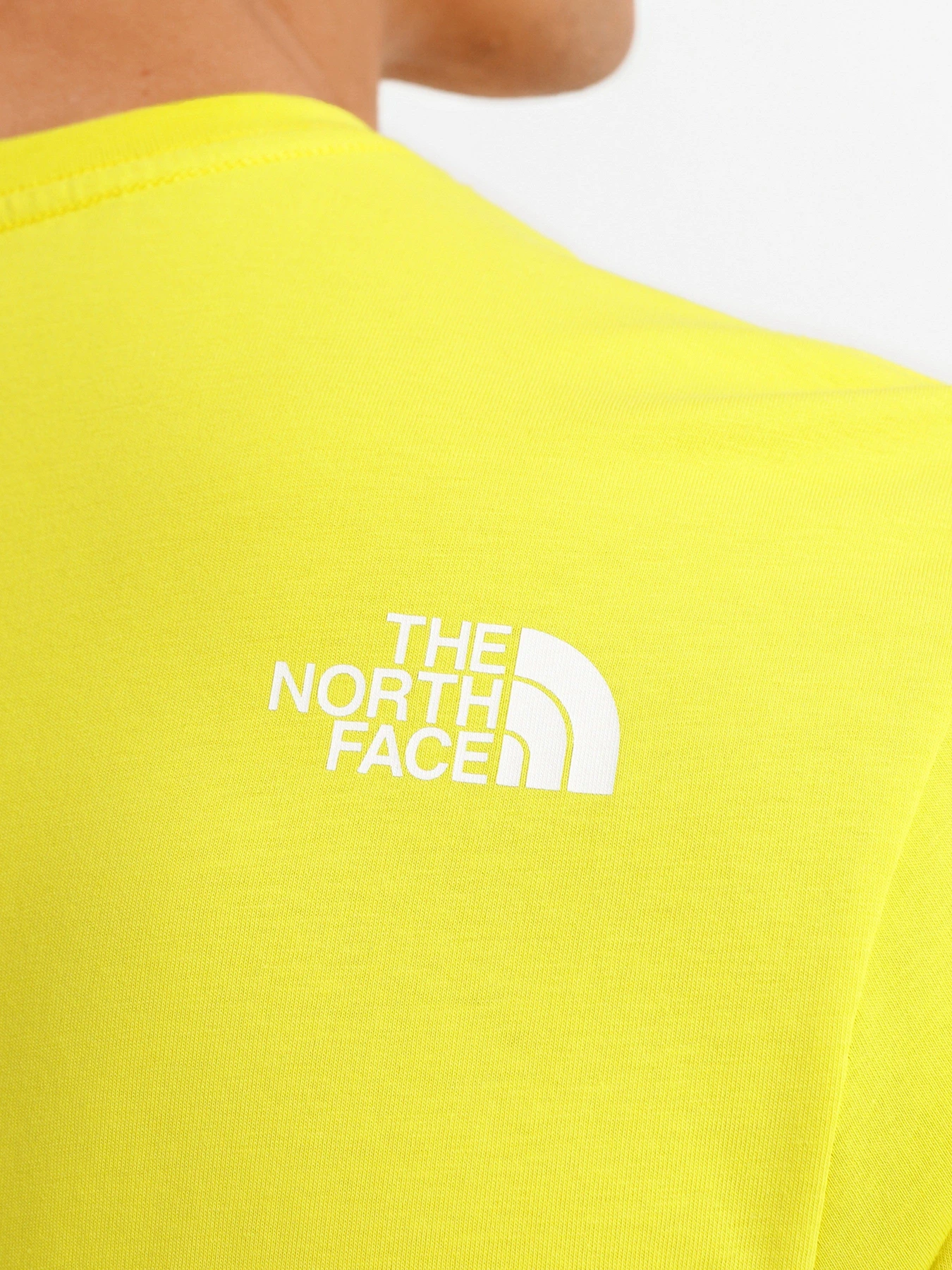 Футболки и поло The North Face RUST 2 модель NF0A4M687601 Футболки и поло The North Face RUST 2 модель NF0A4M687601 Фото