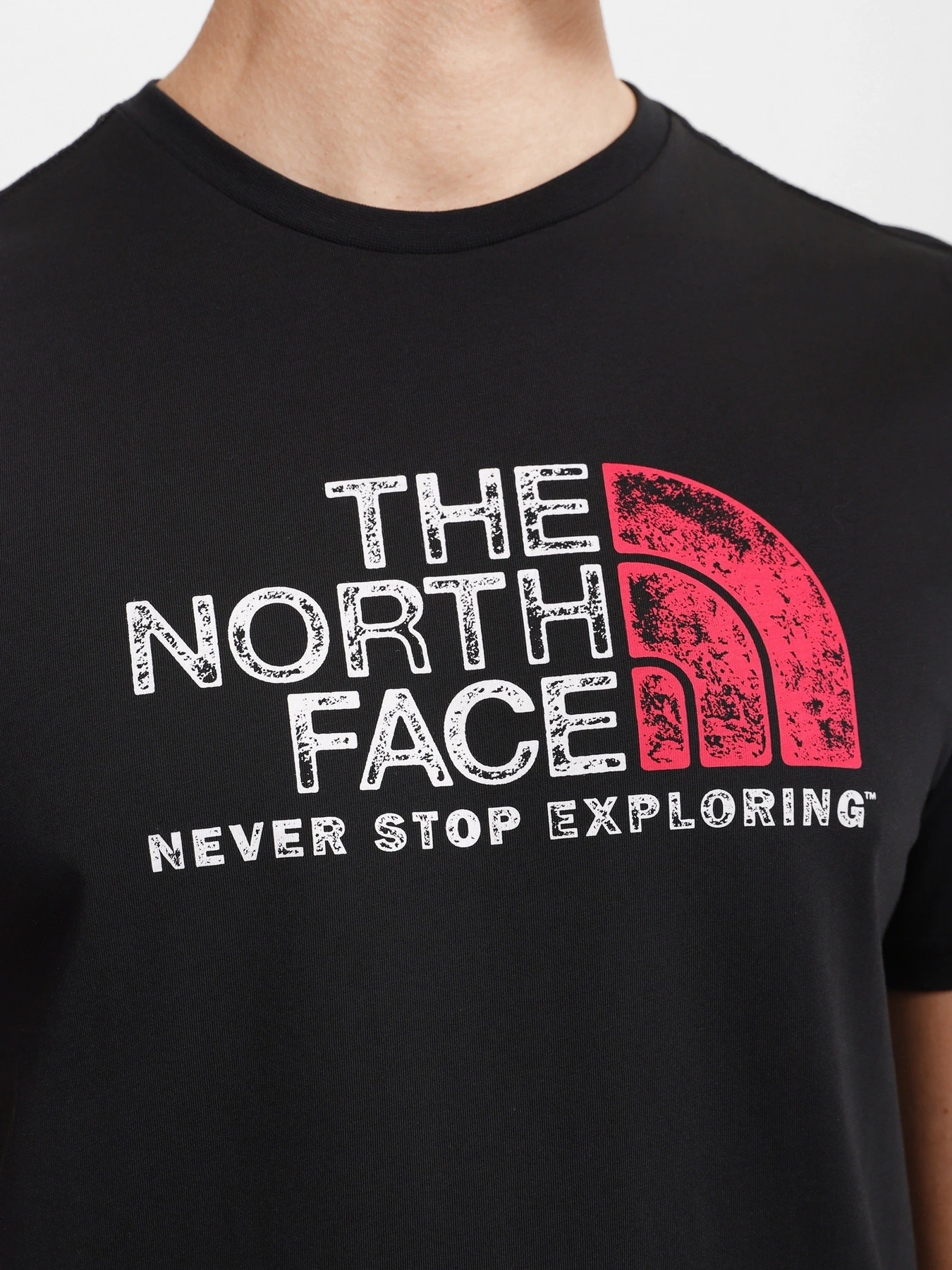 Футболки и поло The North Face Rust 2 модель NF0A4M684A91 Футболки и поло The North Face Rust 2 модель NF0A4M684A91 Фото