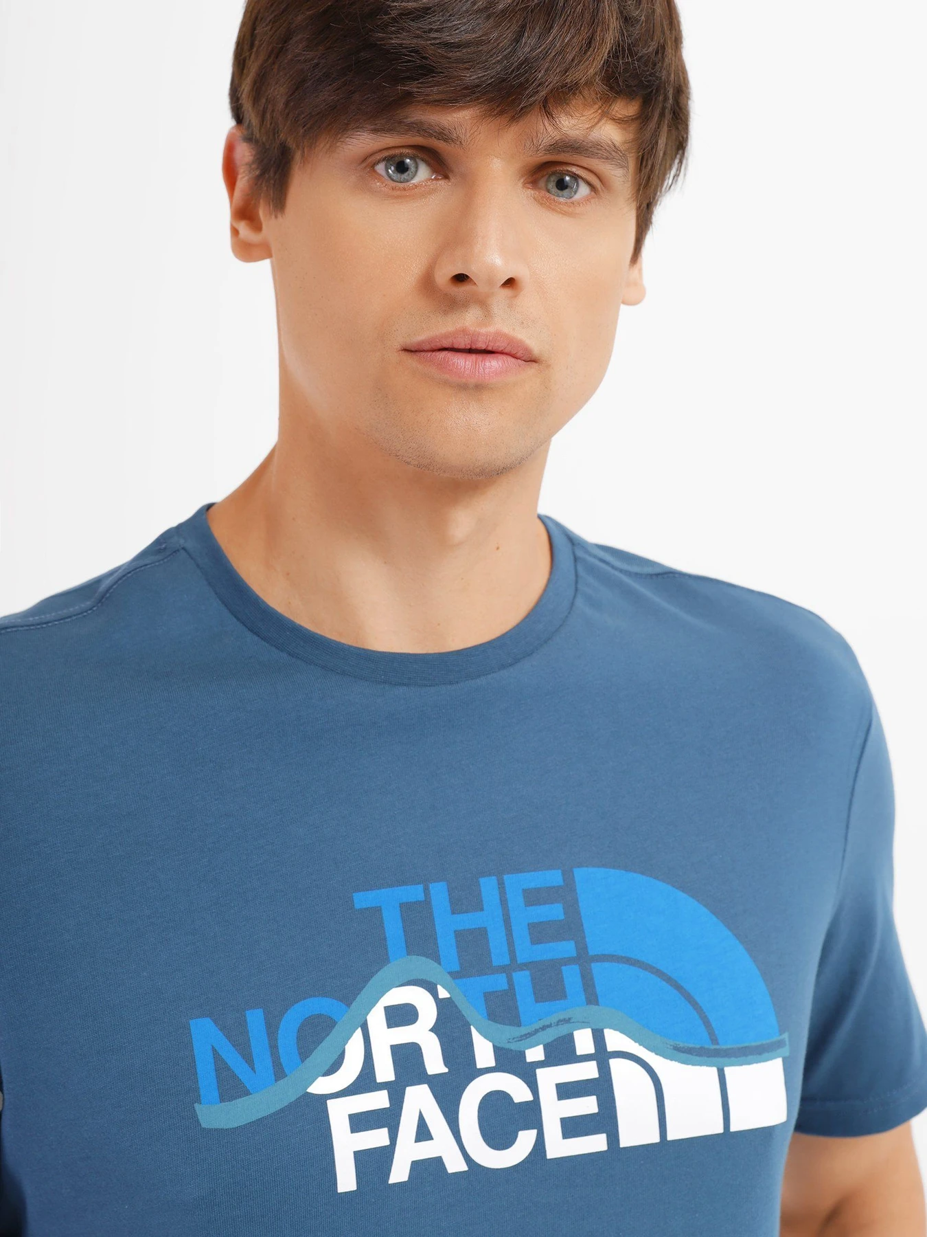 Футболки и поло The North Face  S/S Mountain Line Tee модель NF00A3G20J61 Фото