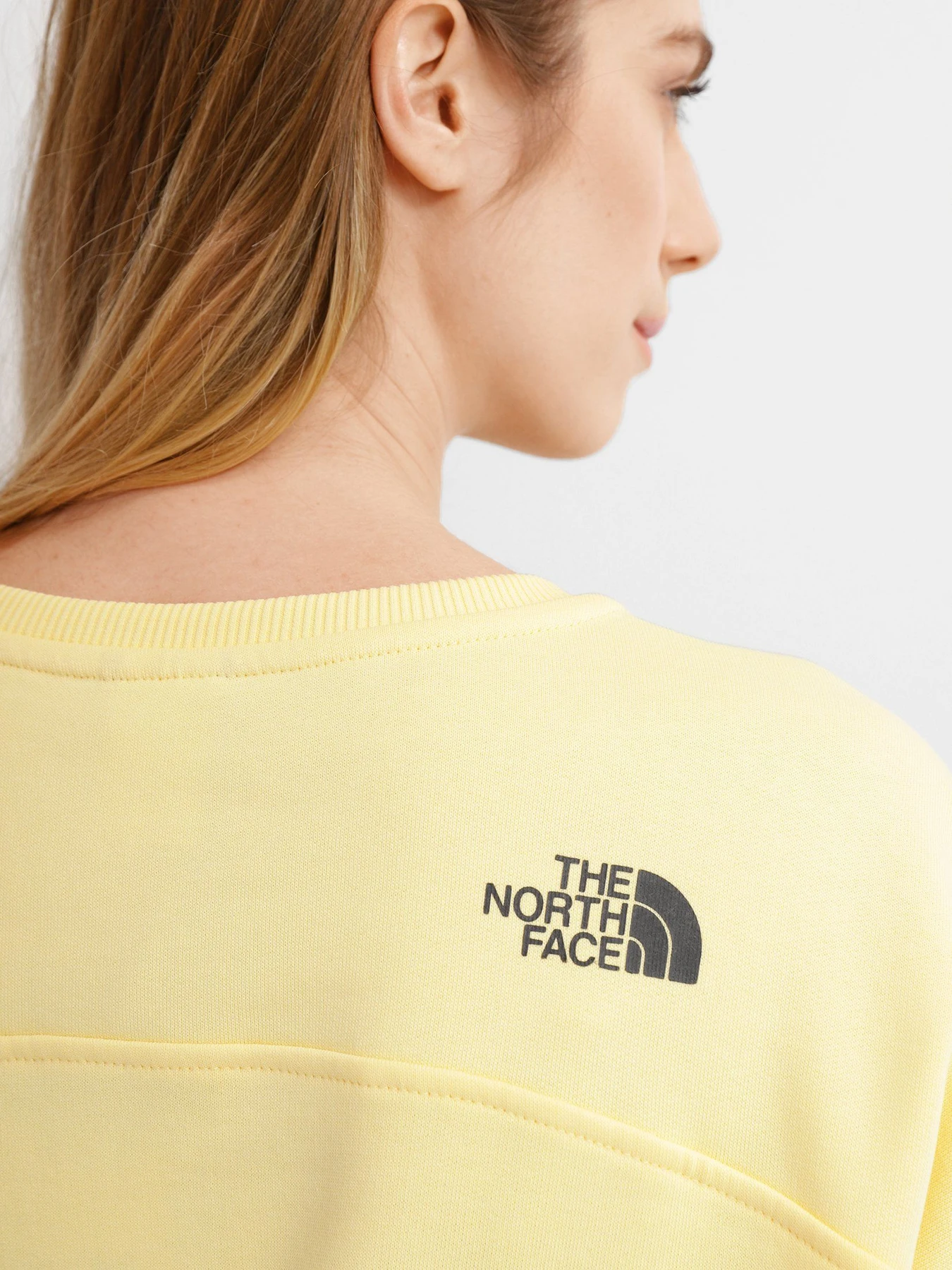 Худі та світшоти The North Face Drew Peak Crew модель NF0A3S4G3R41 Худі та світшоти The North Face Drew Peak Crew модель NF0A3S4G3R41 Фото