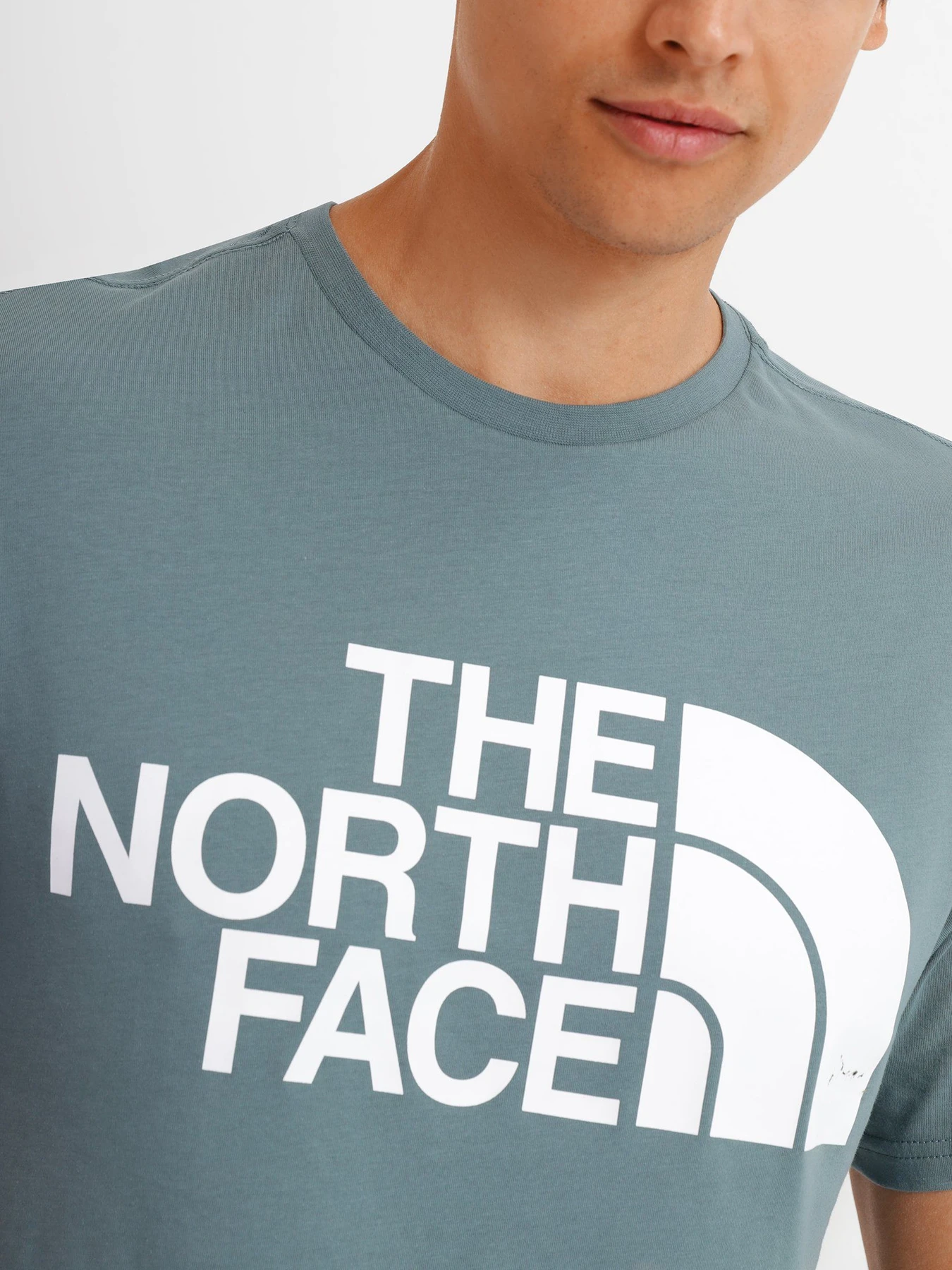 Футболки і поло The North Face Standard Ls Basic Logo модель NF0A4M7XA9L1 Фото