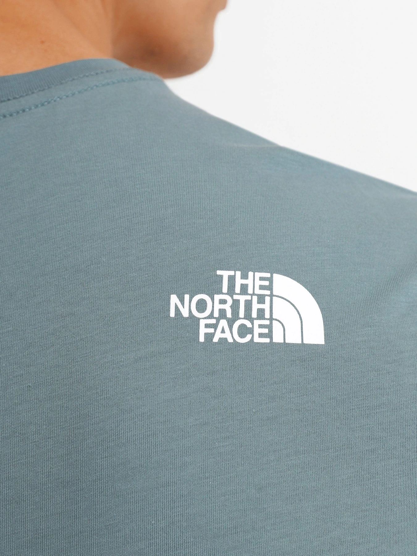 Футболки і поло The North Face Standard Ls Basic Logo модель NF0A4M7XA9L1 Фото