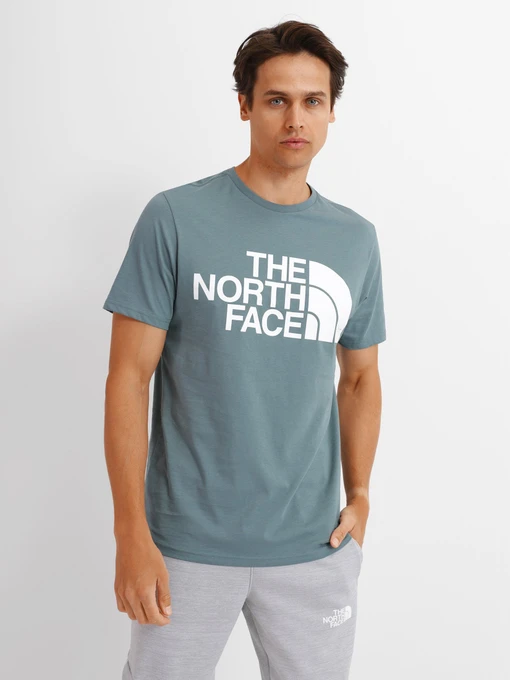 Футболки и поло The North Face Standard Ls Basic Logo модель NF0A4M7XA9L1 Фото