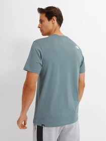 Футболки і поло The North Face Standard Ls Basic Logo модель NF0A4M7XA9L1 Фото