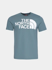Футболки і поло The North Face Standard Ls Basic Logo модель NF0A4M7XA9L1 Фото