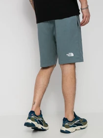 Шорти The North Face Standard модель NF0A3S4EA9L1 Фото