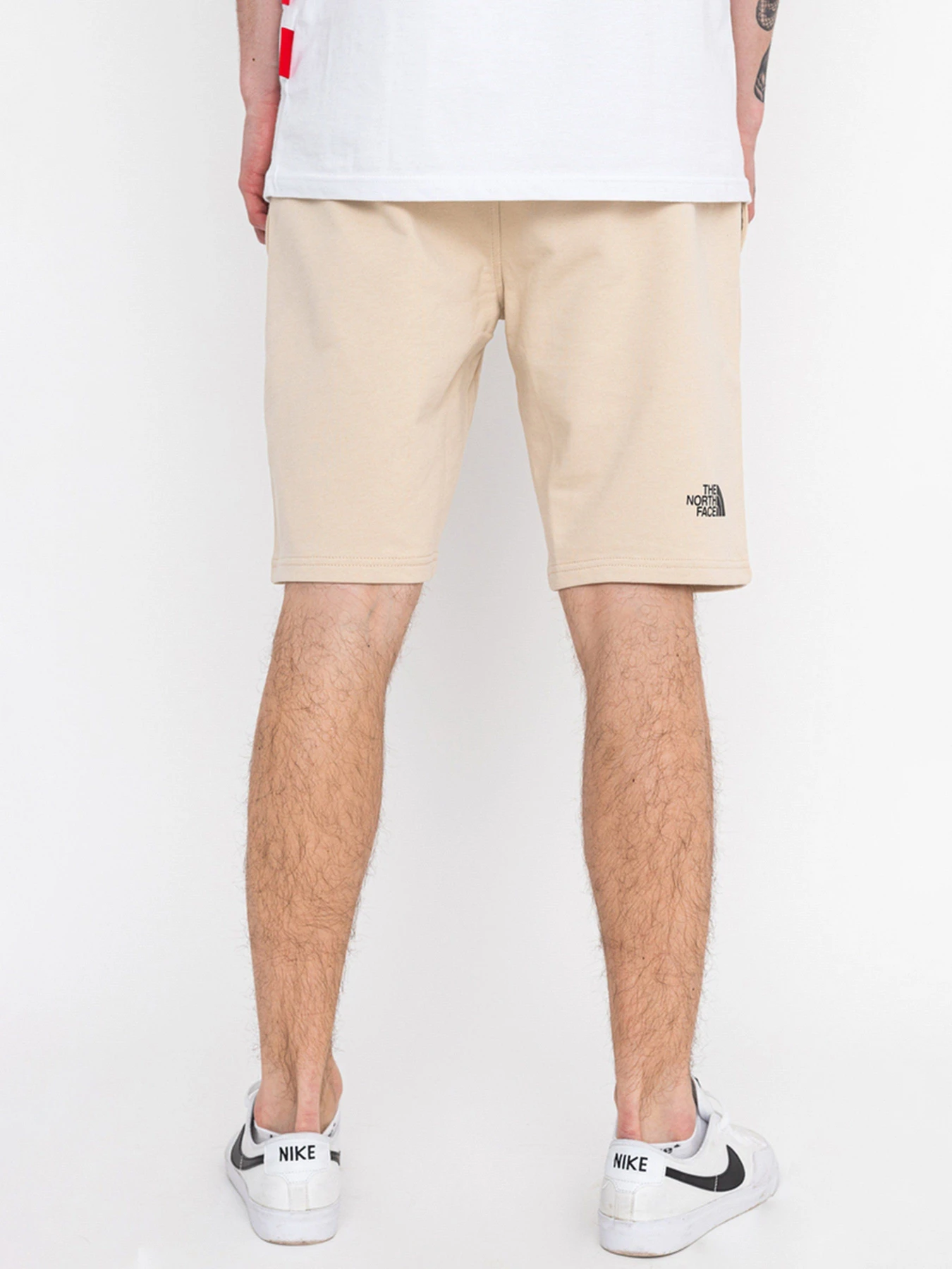 Шорты The North Face Standard модель NF0A3S4E3X41 Фото