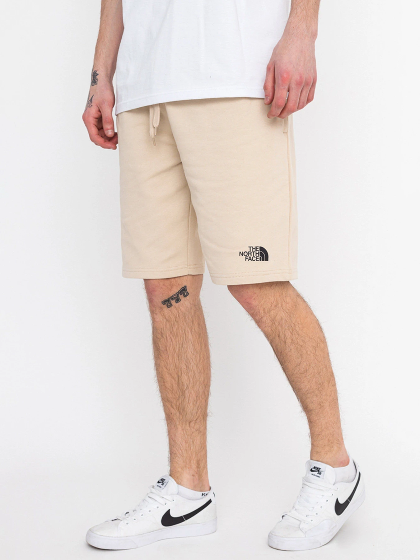 Шорты The North Face Standard модель NF0A3S4E3X41 Фото