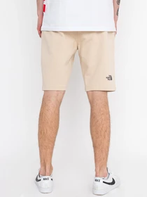 Шорты The North Face Standard модель NF0A3S4E3X41 Фото