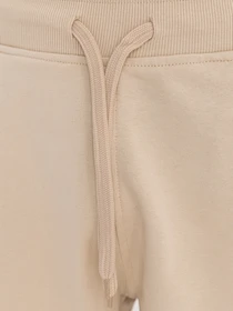 Шорты The North Face Standard модель NF0A3S4E3X41 Фото