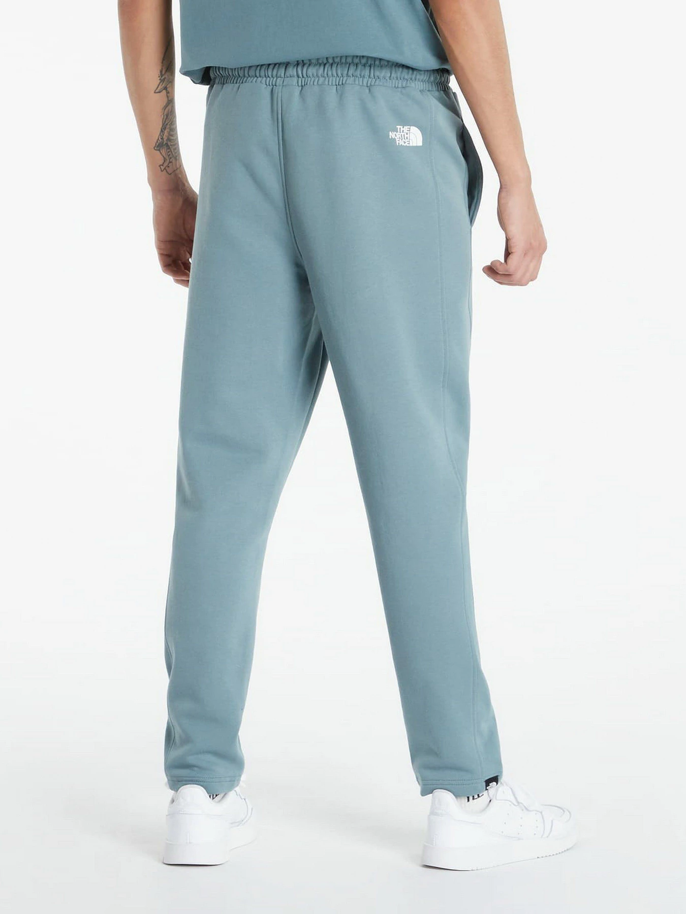 Брюки The North Face Standard модель NF0A4M7LA9L1 Фото