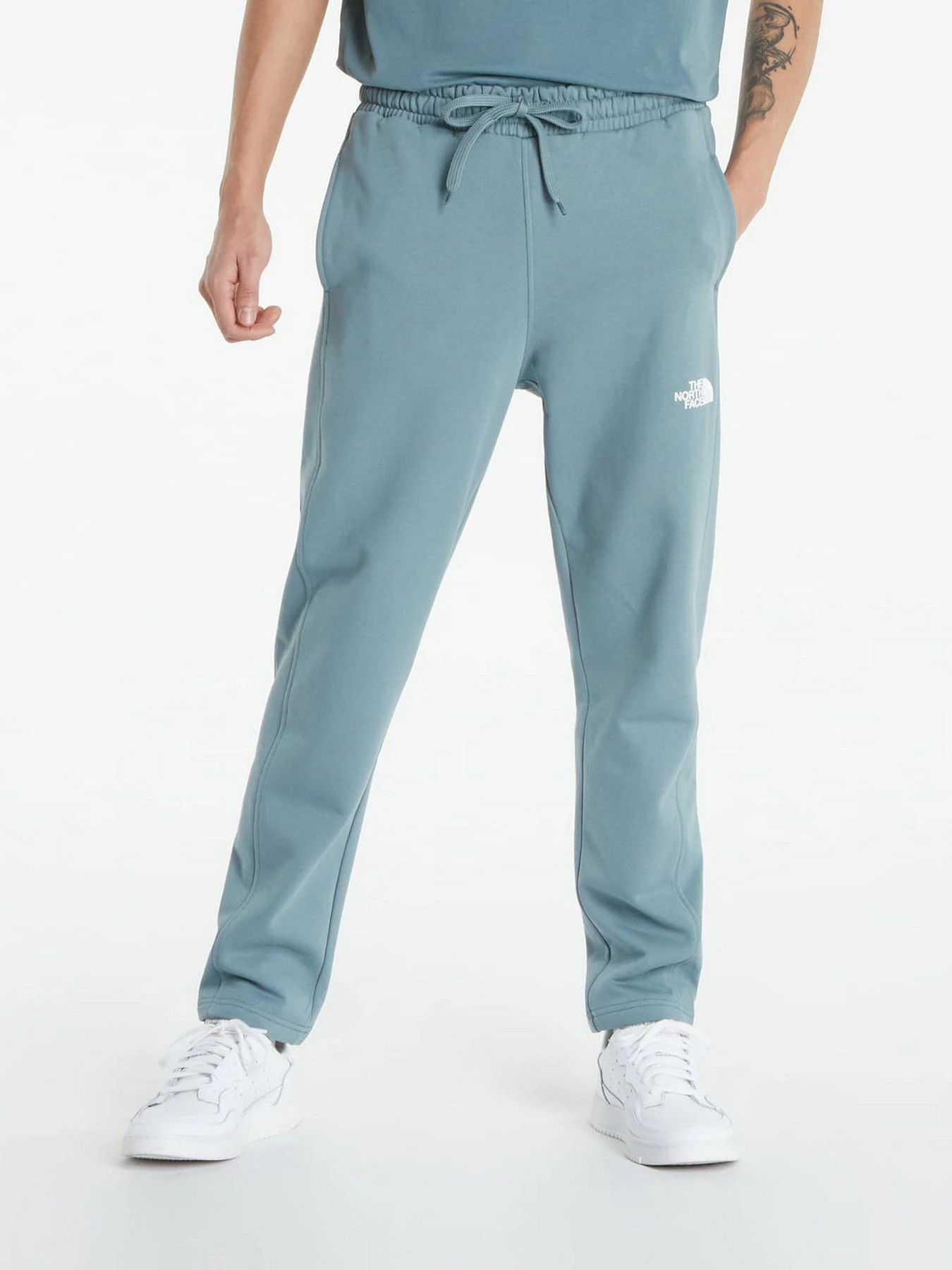 Брюки The North Face Standard модель NF0A4M7LA9L1 Фото