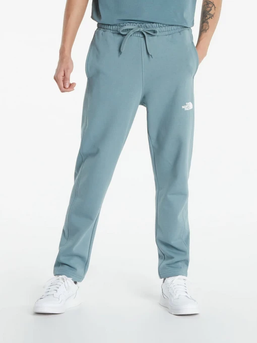 Брюки The North Face Standard модель NF0A4M7LA9L1 Фото