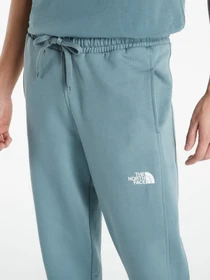 Брюки The North Face Standard модель NF0A4M7LA9L1 Фото