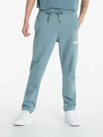 Брюки The North Face Standard модель NF0A4M7LA9L1 Фото