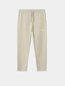 Брюки The North Face Standard модель NF0A4M7L3X41 Фото