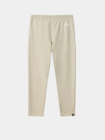 Брюки The North Face Standard модель NF0A4M7L3X41 Фото