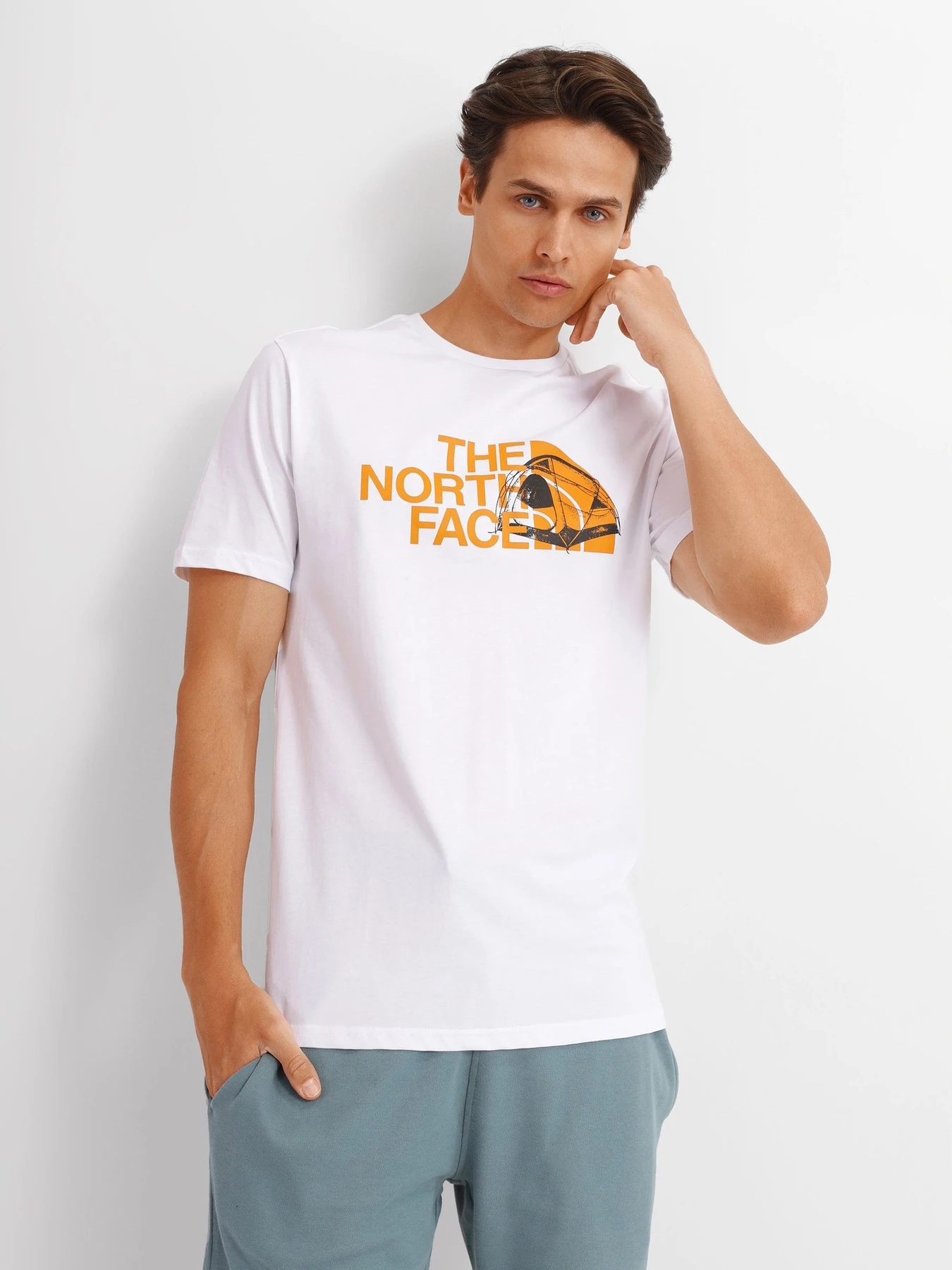 Футболки и поло The North Face Graphic Half Dome модель NF0A7R3AFN41 Футболки и поло The North Face Graphic Half Dome модель NF0A7R3AFN41 Фото
