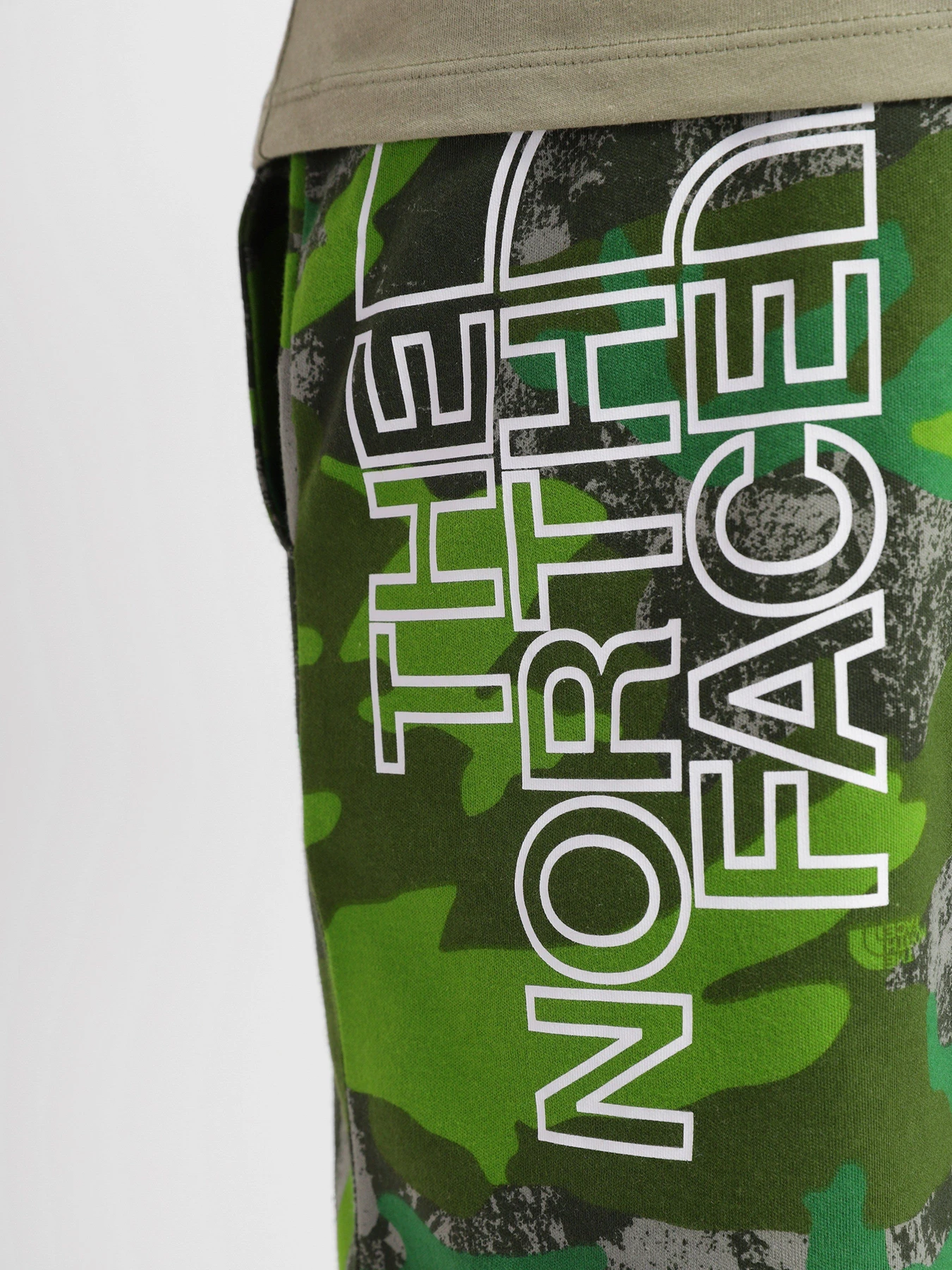 Шорты The North Face GRAPHIC SHORT LIGHT модель NF0A3S4F52H1 Фото