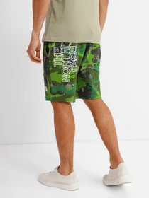 Шорты The North Face GRAPHIC SHORT LIGHT модель NF0A3S4F52H1 Фото