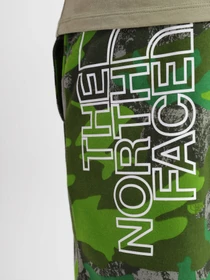 Шорты The North Face GRAPHIC SHORT LIGHT модель NF0A3S4F52H1 Фото