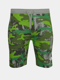 Шорты The North Face GRAPHIC SHORT LIGHT модель NF0A3S4F52H1 Фото