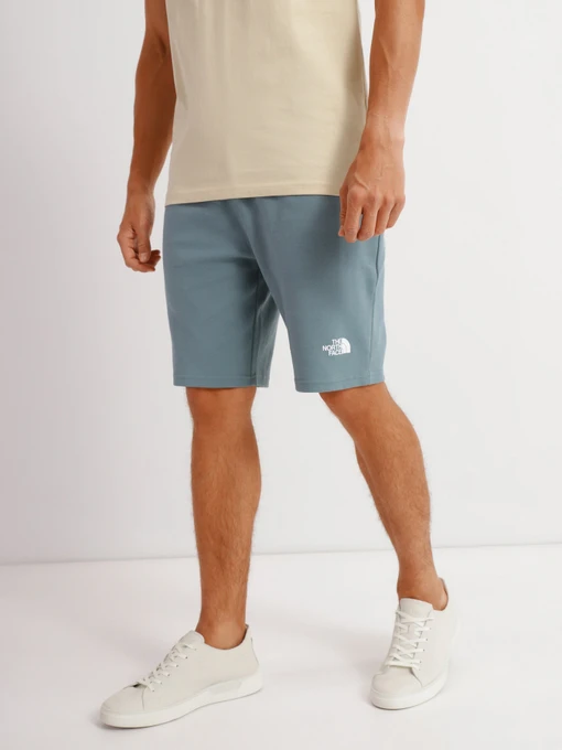 Шорты The North Face GRAPHIC SHORT LIGHT модель NF0A3S4FA9L1 Фото