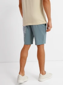 Шорты The North Face GRAPHIC SHORT LIGHT модель NF0A3S4FA9L1 Фото
