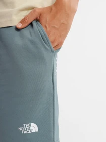 Шорты The North Face GRAPHIC SHORT LIGHT модель NF0A3S4FA9L1 Фото