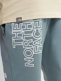 Шорты The North Face GRAPHIC SHORT LIGHT модель NF0A3S4FA9L1 Фото