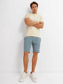 Шорты The North Face GRAPHIC SHORT LIGHT модель NF0A3S4FA9L1 Фото