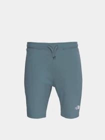 Шорты The North Face GRAPHIC SHORT LIGHT модель NF0A3S4FA9L1 Фото