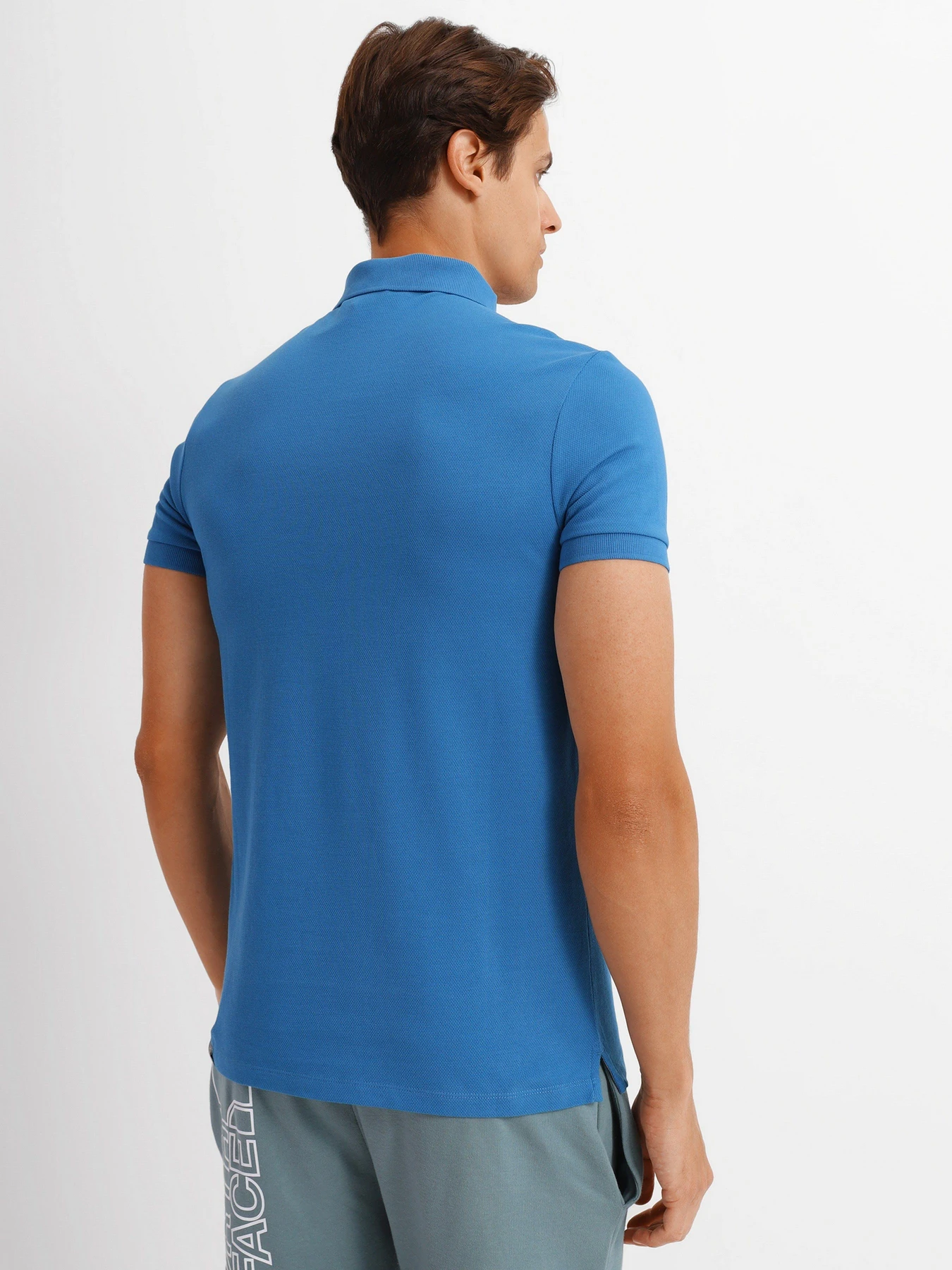 Футболки и поло The North Face Premium Polo Pique модель NF00CEV4M191 Футболки и поло The North Face Premium Polo Pique модель NF00CEV4M191 Фото