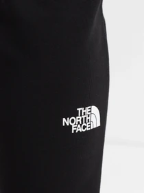 Брюки The North Face Coordinates модель NF0A5IGBJK31 Фото