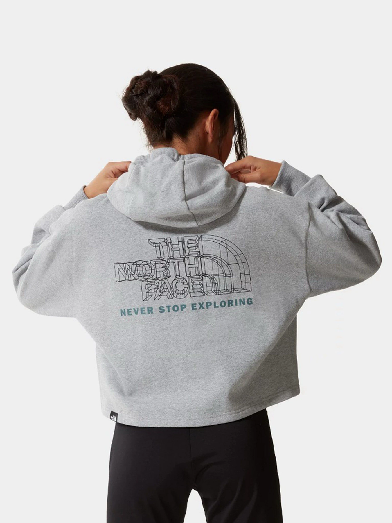 Худи и свитшоты The North Face Coordinates Crop модель NF0A5IFXDYX1 Худи и свитшоты The North Face Coordinates Crop модель NF0A5IFXDYX1 Фото