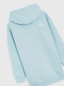 Худи и свитшоты The North Face Zumu модель NF0A491P3R31 Фото