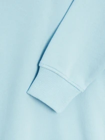 Худи и свитшоты The North Face Zumu модель NF0A491P3R31 Фото