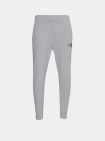 Брюки The North Face Explore модель NF0A5G9PHKQ1 Фото