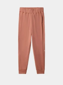 Брюки The North Face Exploration Fleece модель NF0A5GB9HST1 Фото