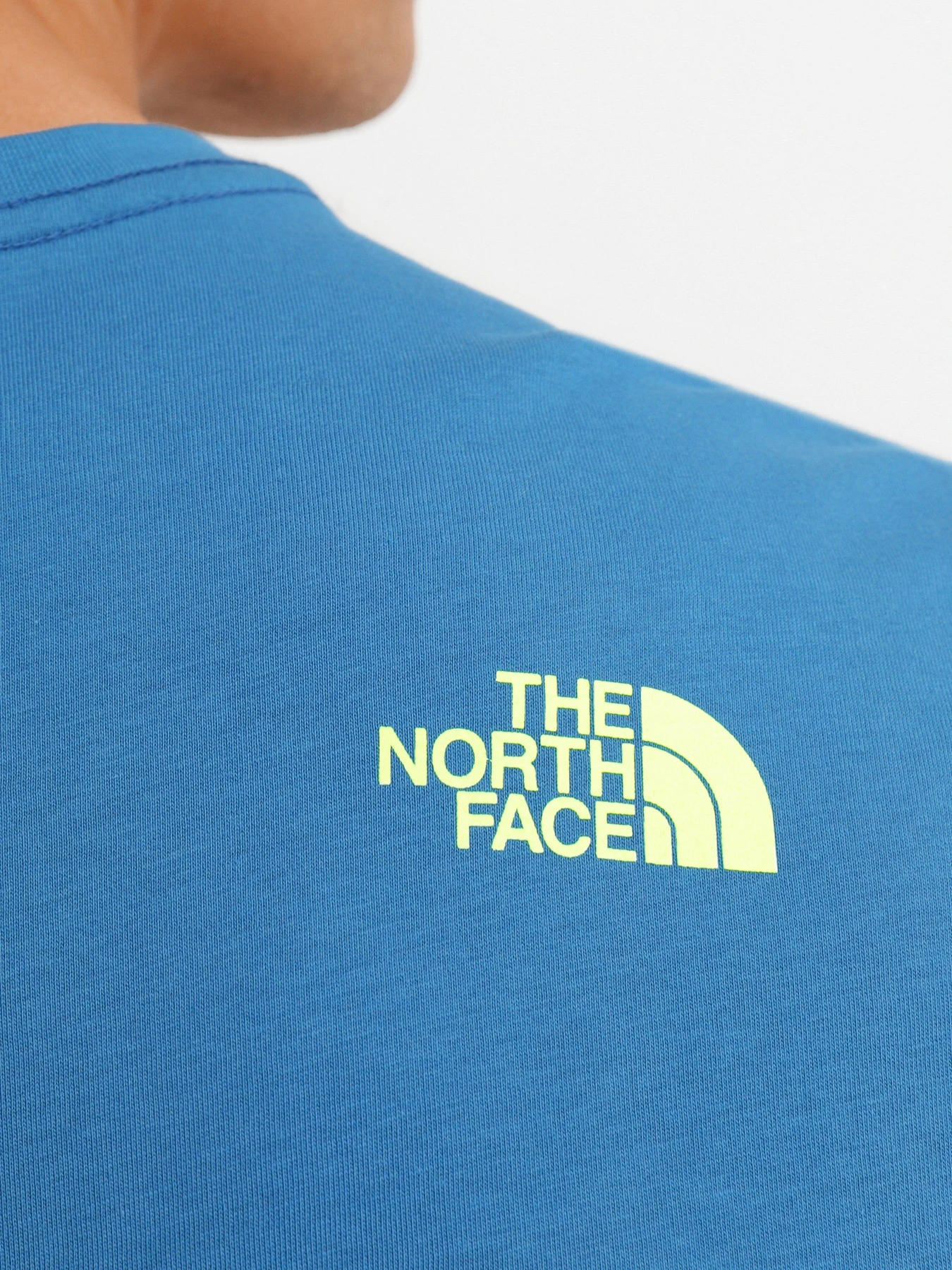 Футболки і поло The North Face Graphic модель NF0A5IH1M191 Фото