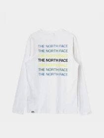 Худи и свитшоты The North Face Graphic модель NF0A5IH2FN41 Фото