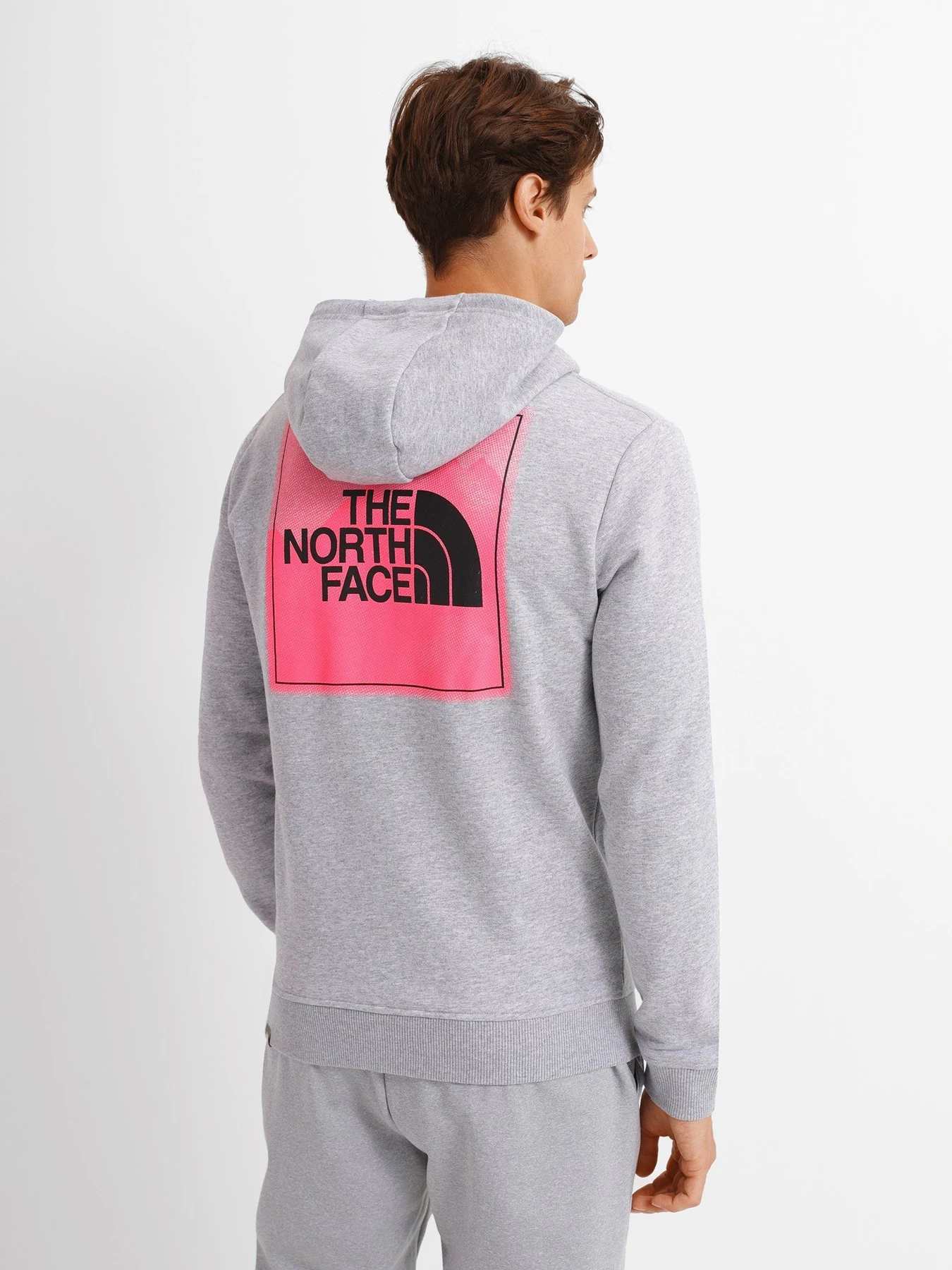 Худі та світшоти The North Face Graphic Light модель NF0A5IGZDYX1 Фото