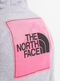 Худі та світшоти The North Face Graphic Light модель NF0A5IGZDYX1 Фото