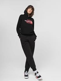 Худи и свитшоты The North Face Graphic модель NF0A7QZTJK31 Фото