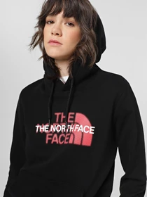 Худи и свитшоты The North Face Graphic модель NF0A7QZTJK31 Фото