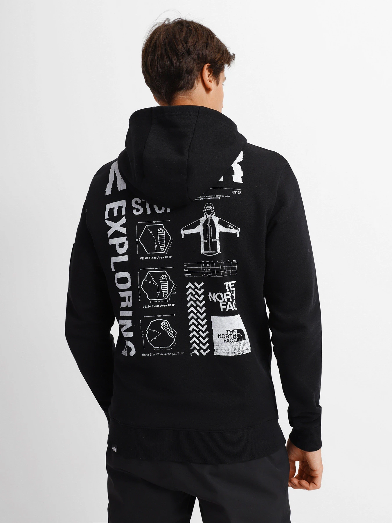 Худі та світшоти The North Face Galahm Graphic модель NF0A7R2LJK31 Фото