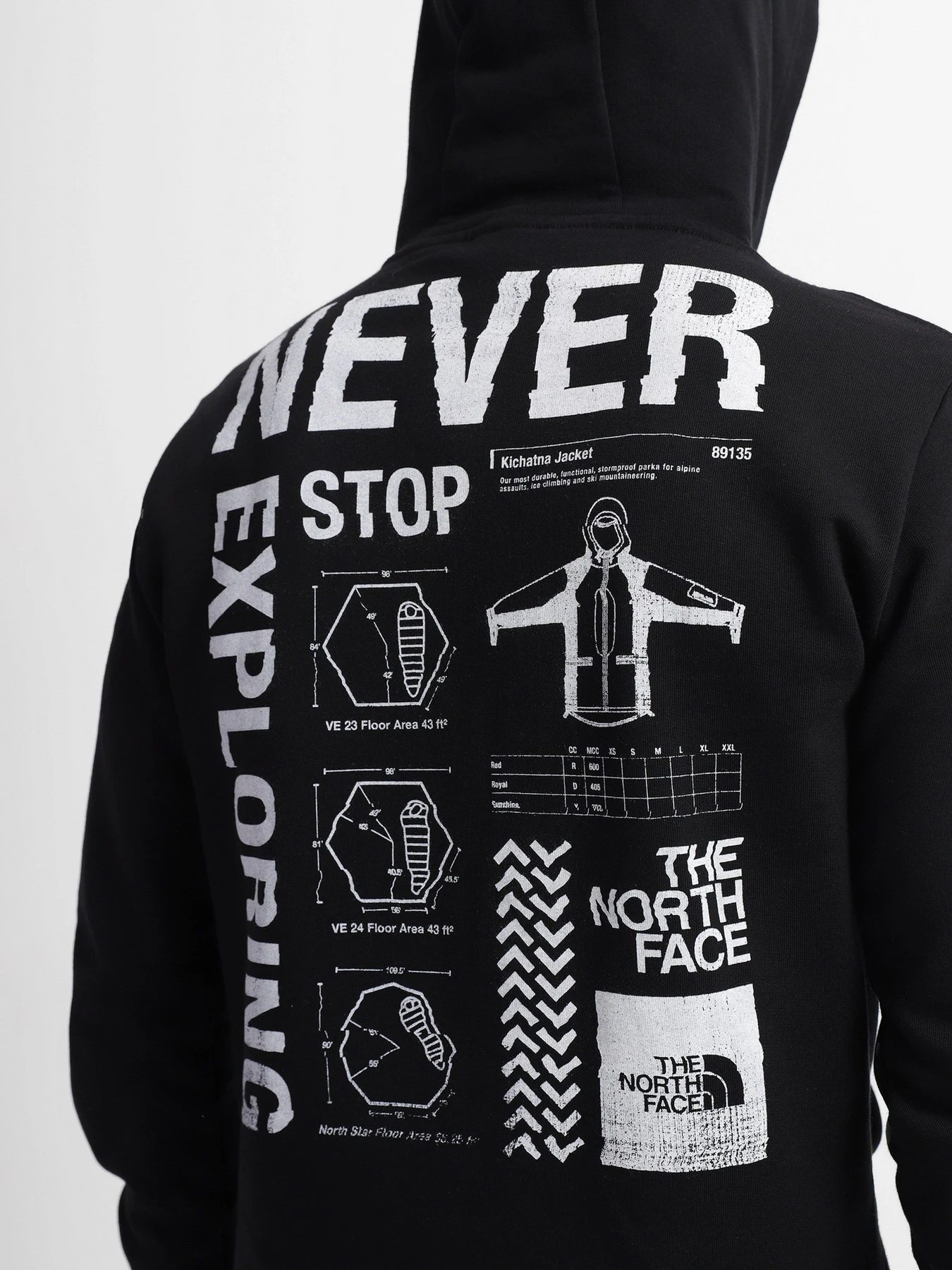 Худі та світшоти The North Face Galahm Graphic модель NF0A7R2LJK31 Фото