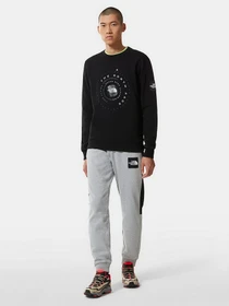 Худі та світшоти The North Face Galahm Graphic модель NF0A7R2MJK31 Фото