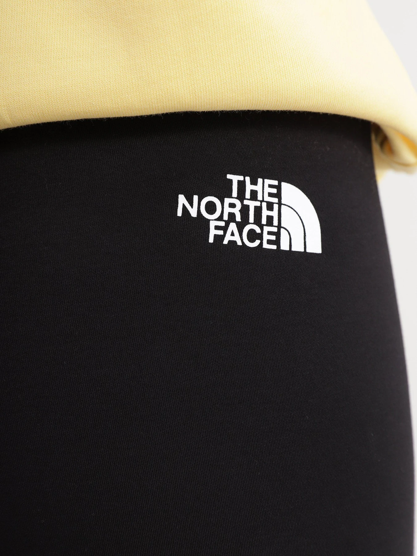Брюки The North Face W Interlock Cotton Legging модель NF0A7ZGIJK31 Фото