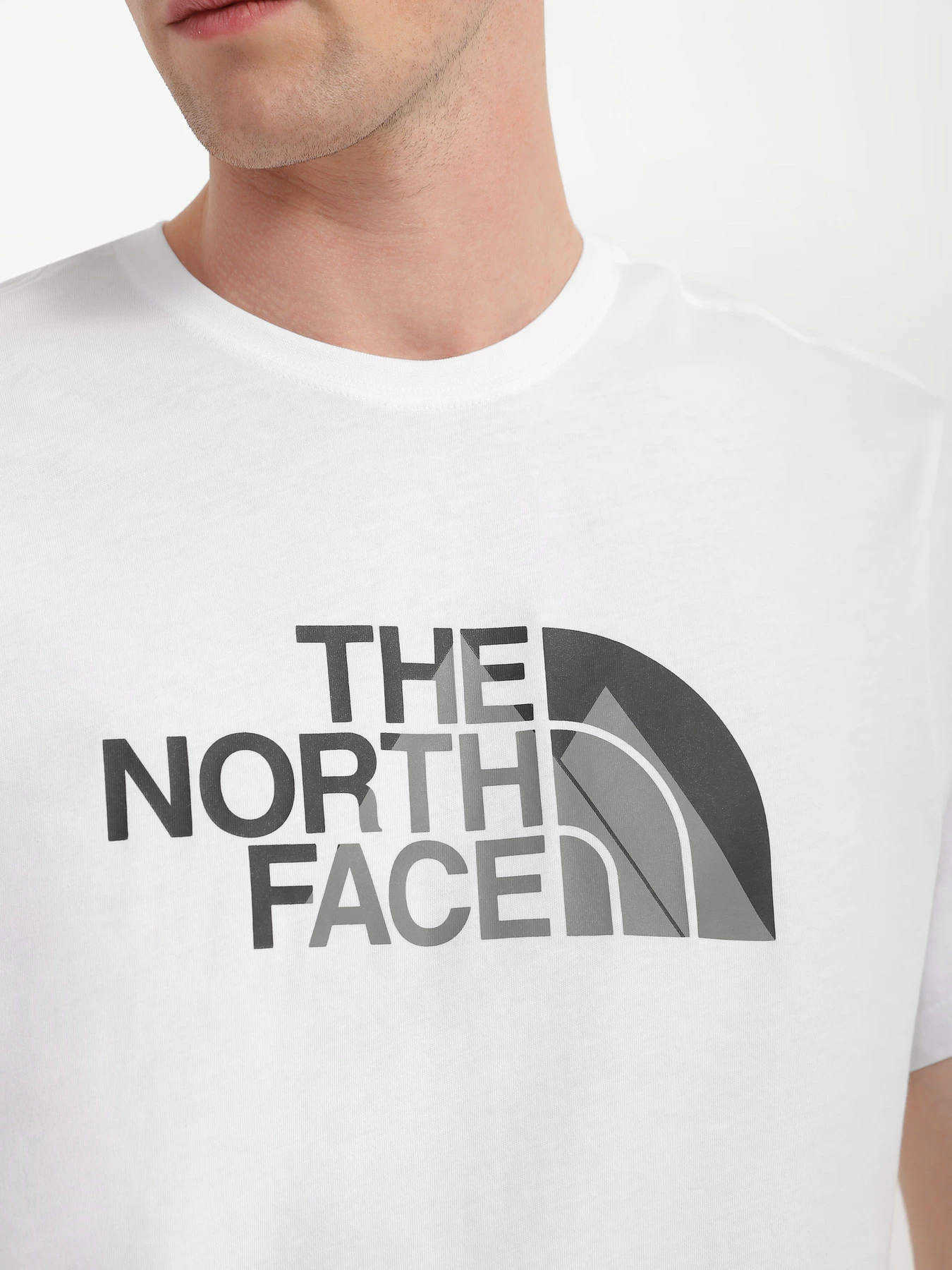 Футболки и поло The North Face Biner Graphic 1 модель NF0A7R4HFN41 Фото